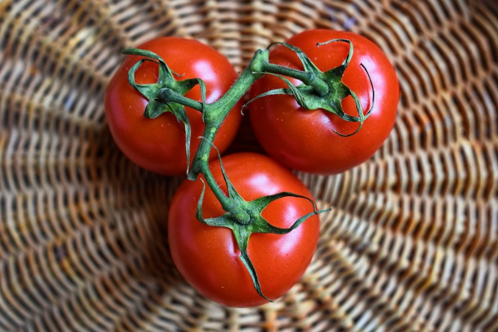 Fleurs De Tomate Pollinisation Manuelle